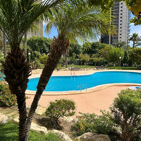 Murtal Apartment Benidorm Extérieur photo