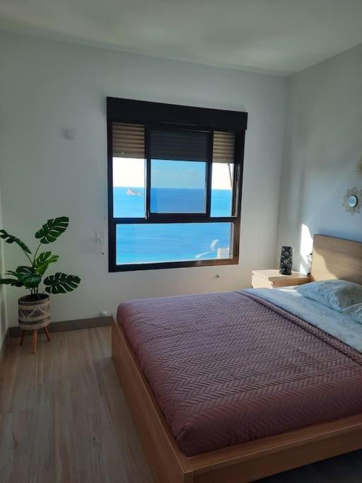 Murtal Apartment Benidorm Extérieur photo