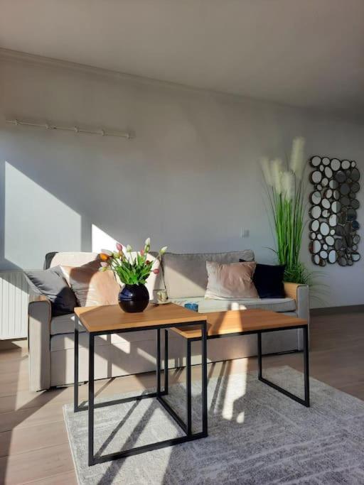 Murtal Apartment Benidorm Extérieur photo